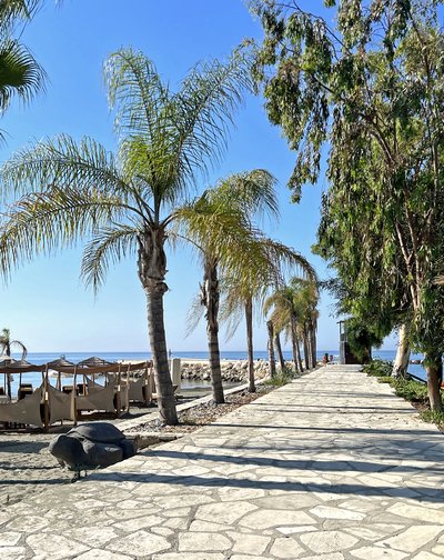 Χρήσιμα Τηλέφωνα Δήμος Αμαθούντας | Amathunta Municipality